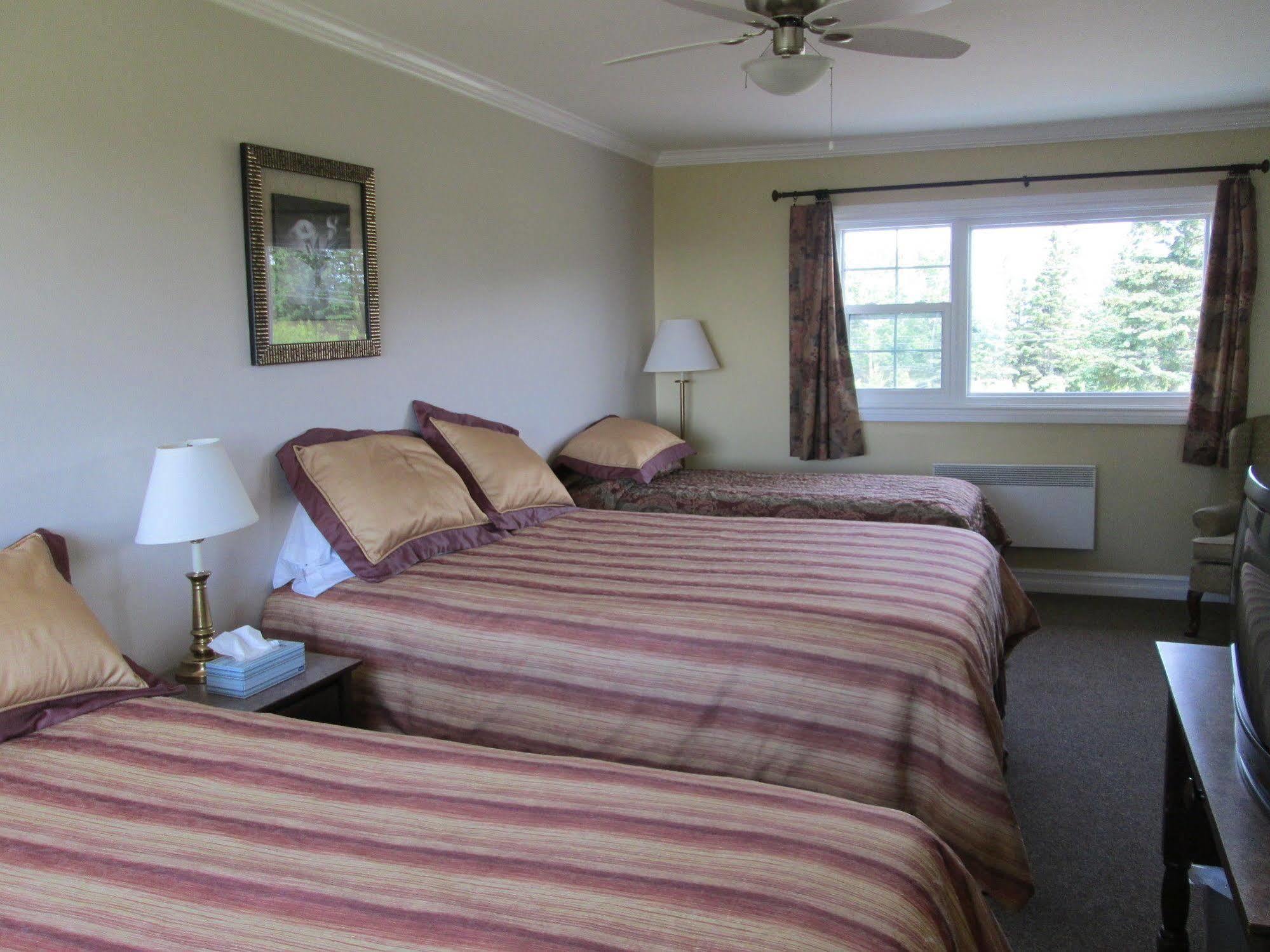 Scenic Motel Moncton Extérieur photo